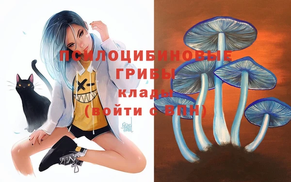 винт Алексин