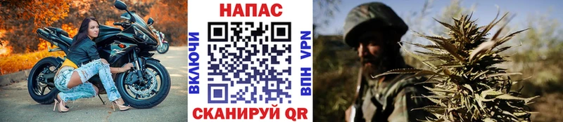 Шишки марихуана индика  ОМГ ОМГ онион  Чайковский  наркота 